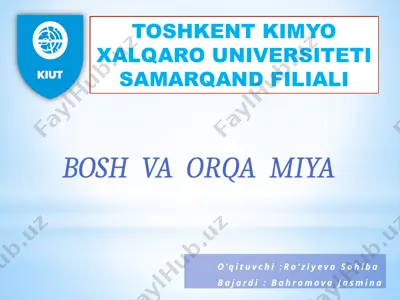 boshvaorqamiya — PPTX