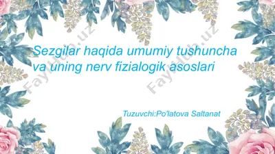 sezgilar haqida umumiy tushuncha va uning nerv-fiziologik asoslari — PPTX