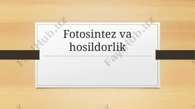 fotosintez va hosildorlik — PPTX