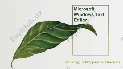 microsoft windows text editor — PPTX