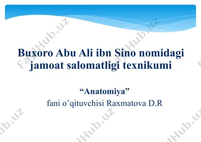 buxoro abu ali ibn sino nomidagi jamoatsalomatligi texniki umumiy "anatomiya" — PPTX