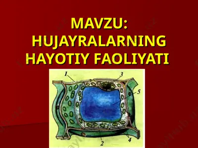 hujayralarning hayotiy faoliyati — PPT