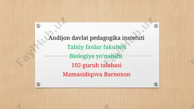 ijtimoiylashuv muammosi — PPTX