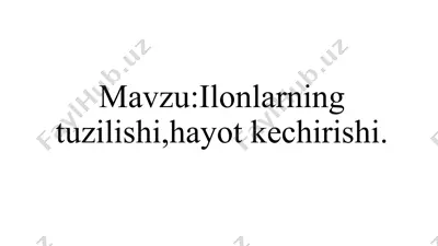 ilonlar — PPTX