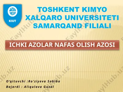 ichki azolar nafas olish azosi — PPTX