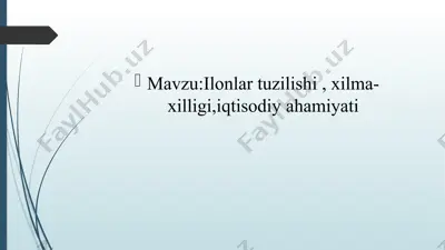 ilonlar (ophidia yoki serpentes) — PPTX