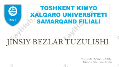 jinsiy bezlar tuzulishi — PPTX