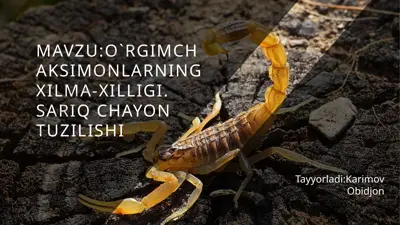 o'rgimchaksimonlarning xilma-xilligi. sariqchayon tuzilishi — PPTX