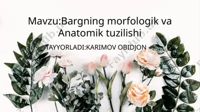 bargning morfologik va anatomik tuzilishi — PPTX