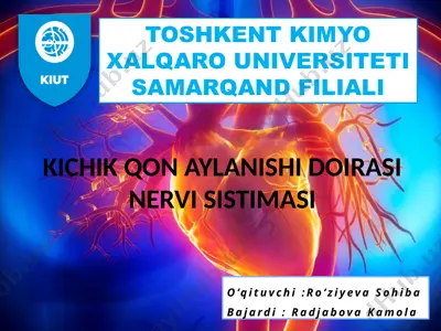 kichik qon aylanishi doirasi nervi sistimasi — PPTX
