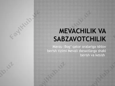 mevachilik va sabzavotchilik — PPTX