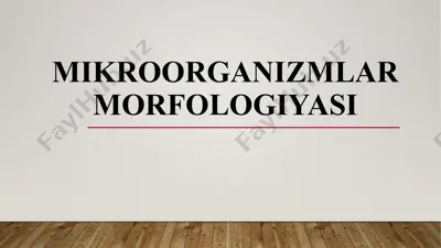 mikroorganizmlar morfologiyasi — PPTX