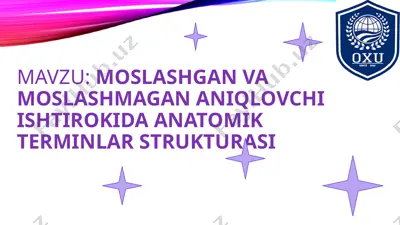 anatomik terminlar strukturasi — PPTX