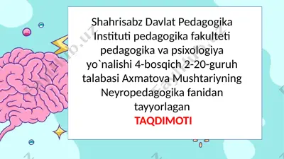 neyropedagogika fanidagi taqdimot — PPTX