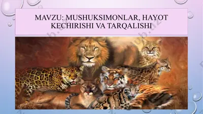 mushuksimonlar haqida ma'lumotlar — PPTX