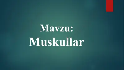 muskullar — PPTX