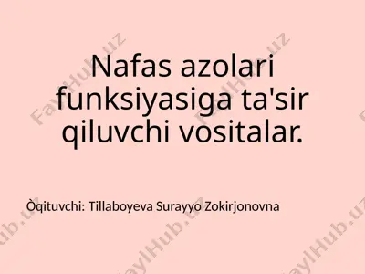 nafasazolari funksiyasini qo'shish vositalari — PPTX