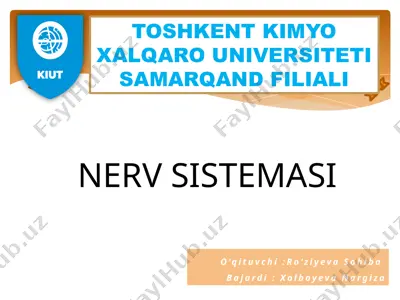 nerv sistemasi — PPTX