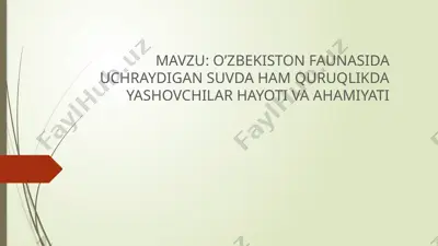amfibiyalar haqida — PPTX