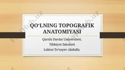 qo‘lning topografiik anatomiyasi — PPTX