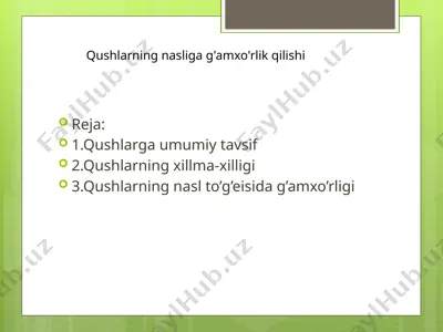 qushlar — PPTX