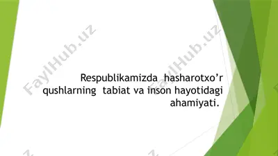 qushlar sinfi haqida ma'lumotlar — PPTX