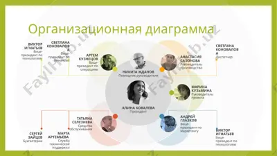 организационная диаграмма — PPTX
