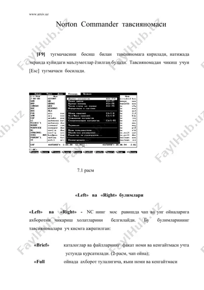 norton commander тавсияномаси — DOC