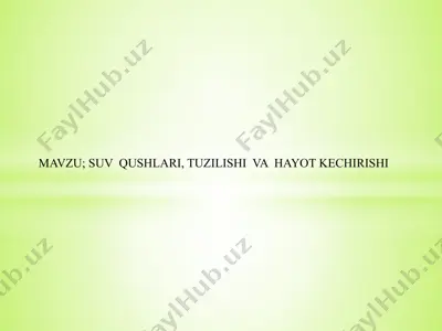 suv qushlari — PPTX