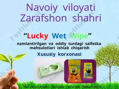 lucky wet wipe — PPTX