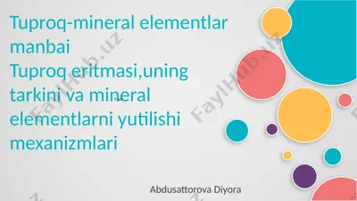 tuproq-mineral elementlar manbai — PPTX