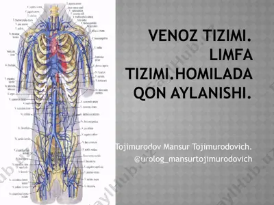 venoztizimi.limfatizimi.homiladaqonaylanishi. — PPTX