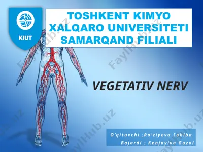 vegetativ nerv — PPTX