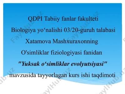 yuksak oʻsimliklar evolyutsiyasi taqdimoti — PPTX