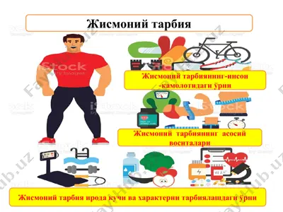 healthy lifestyle — PPT