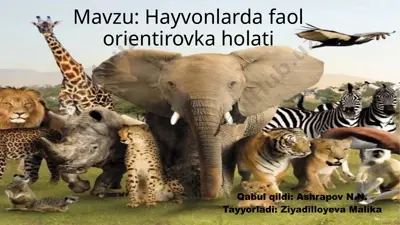 hayvonlarda faol orientirovka holati — PPTX