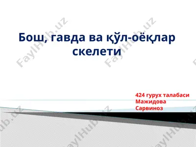bosh, gavda va qo'l-oyog'lar skelleti — PPTX