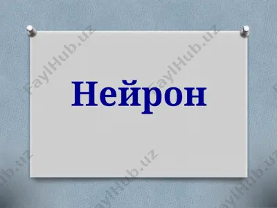 neiron — PPTX