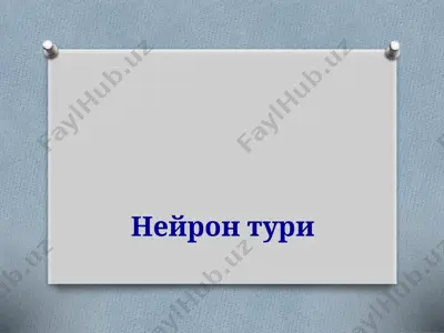neyron turi — PPTX