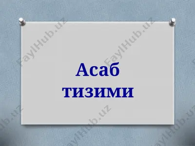 asabtizimi — PPTX