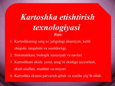 kartoshka — PPTX