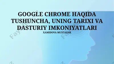 google chrome — PPTX