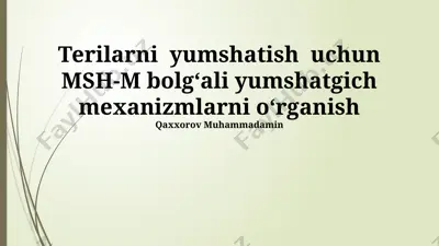 terilarni yumshatish uchun msh-m bolgʻali yumshatgich mexanizmlarni oʻrganish — PPTX