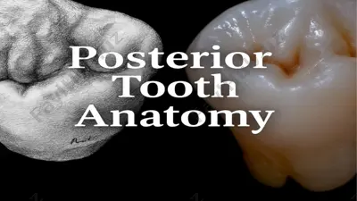 tooth surfaces, vertices, and edges — PPTX