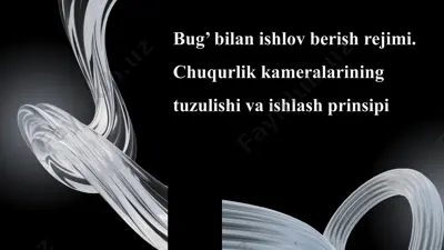 bug’ bilan ishlov berish rejimi. — PPTX