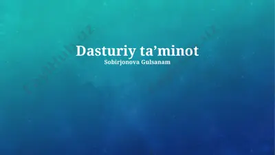 dasturiy taʼminot — PPTX