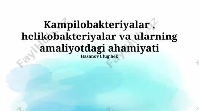 kampilobakteriyalar, helikobakteriyalar va ularning amaliyotdagi ahamiyati — PPTX