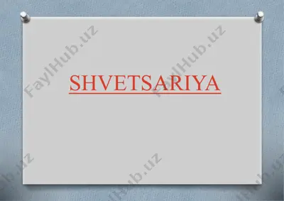 turizm tadbirlari shvetsariyada — PPTX