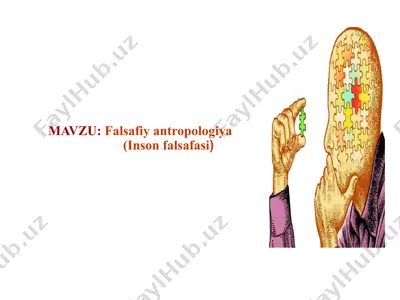 falsafiy antropologiya, inson falsafasi — PPTX