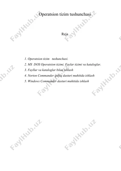 opеratsion tizim tushunchasi — DOC